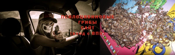СК Вяземский