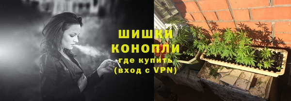 крисы Володарск