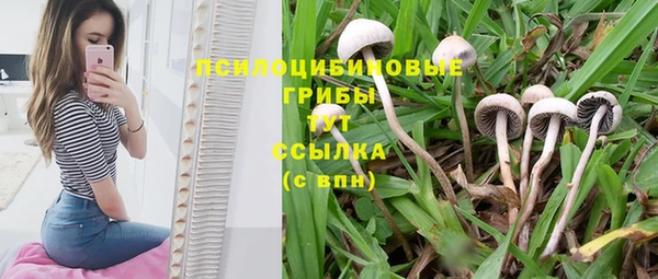 экстази Волосово