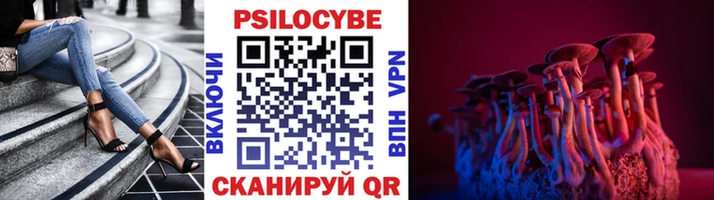 как найти наркотики  Калач-на-Дону  omg   Галлюциногенные грибы мухоморы 